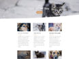 animal-shelter-blog-page-116x87.jpg